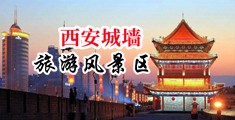 日俄罗斯淫荡少妇大逼中国陕西-西安城墙旅游风景区